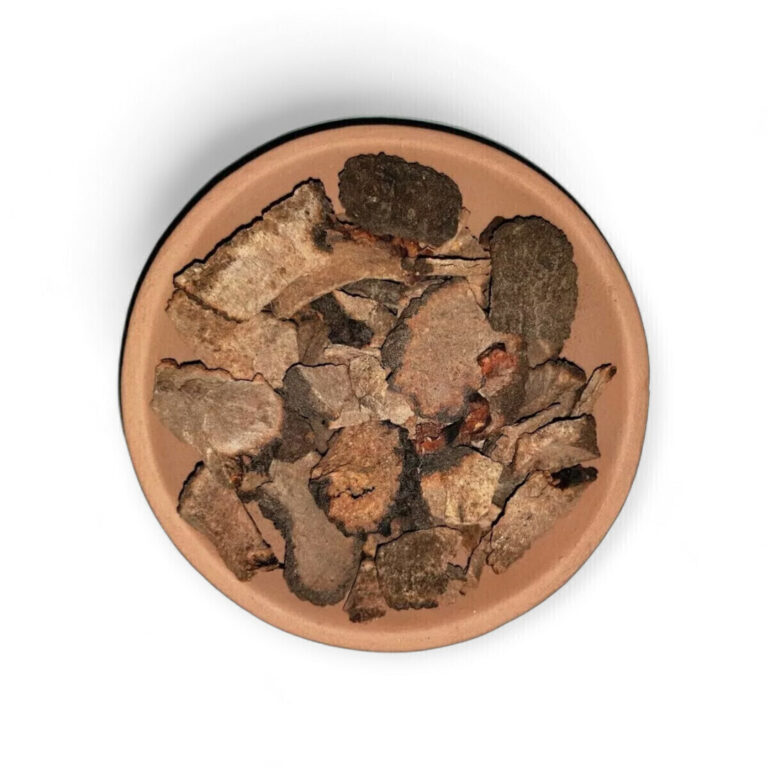 Rompe Piedras hierba para infusión